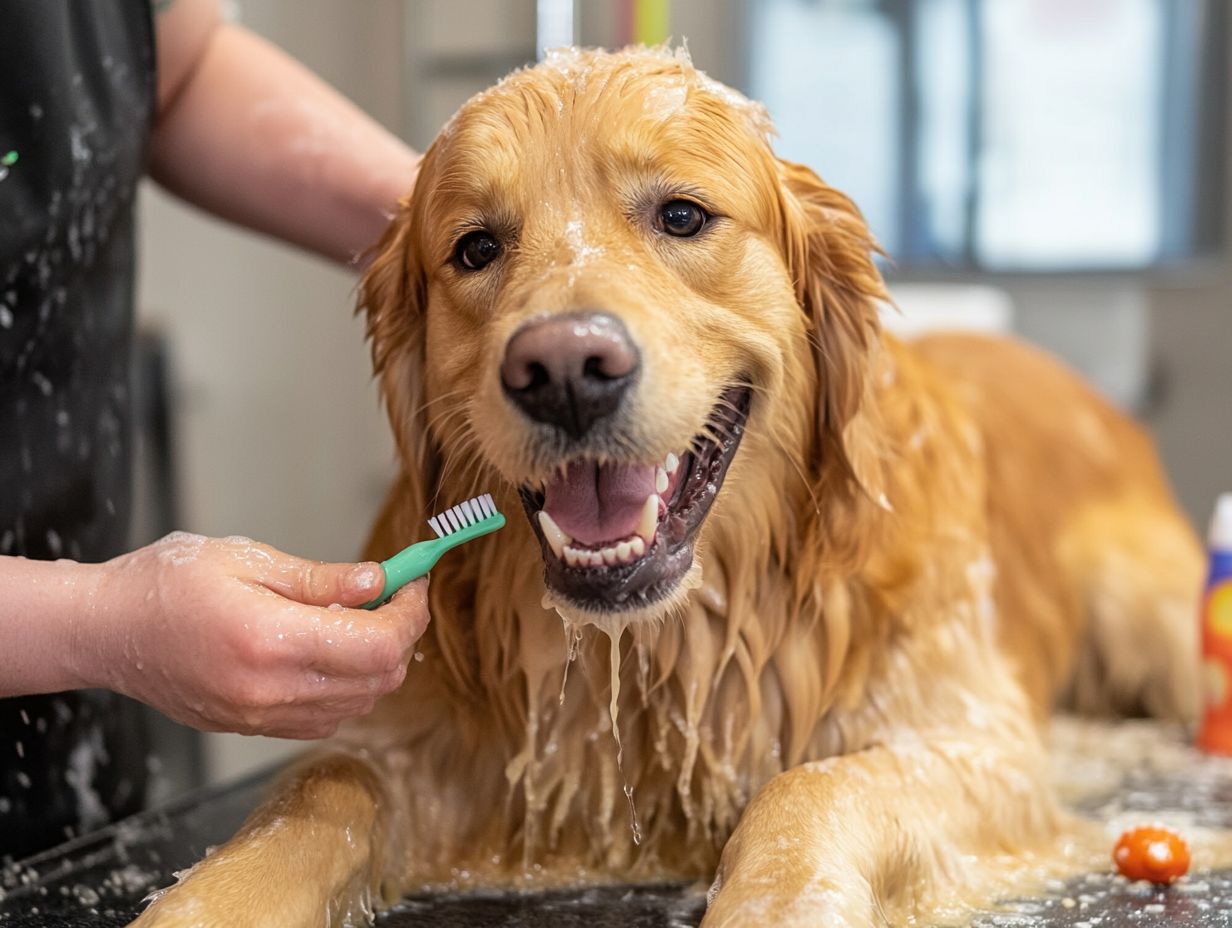 The Importance of Cleaning Your Dog's Teeth